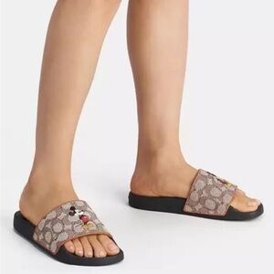 Disney x coach limited edition slides